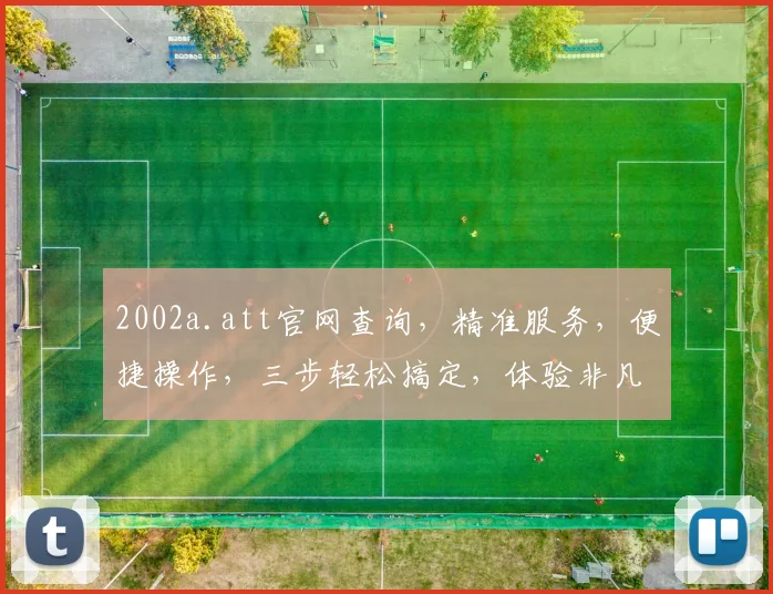 2002a.att官网查询，精准服务，便捷操作，三步轻松搞定，体验非凡